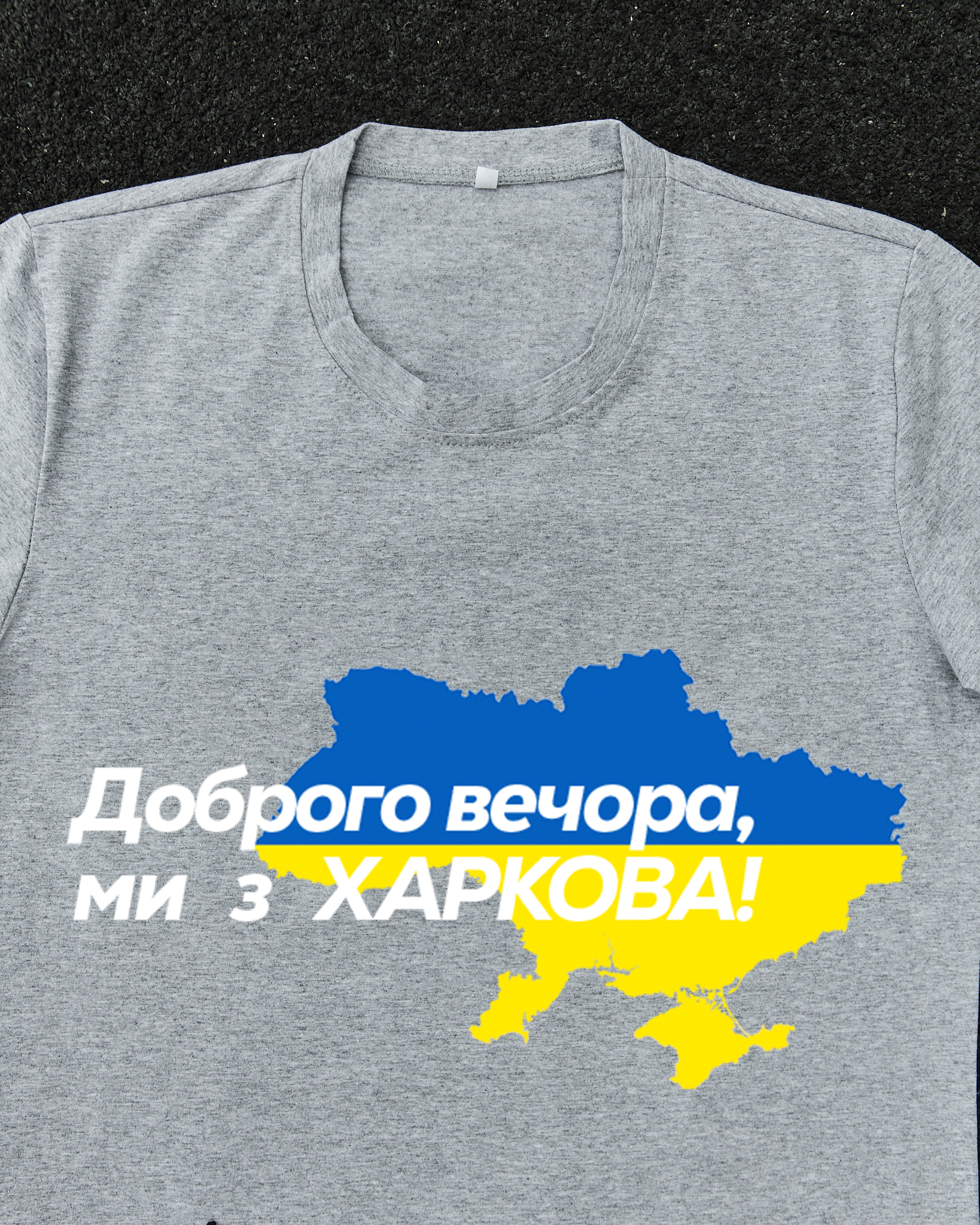 Футболка Сіра з принтом Доброго Вечора ми з Харкова