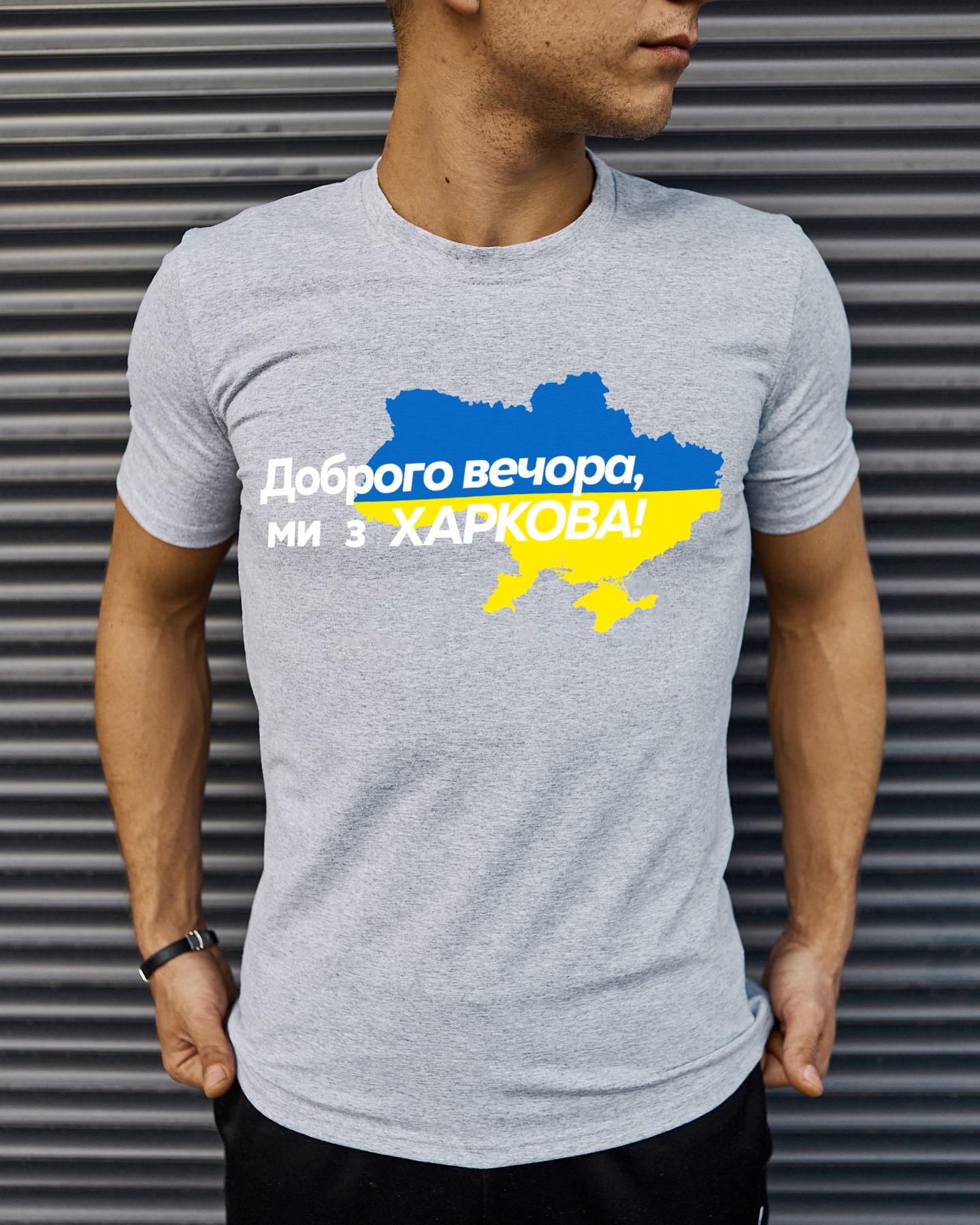 Футболка Сіра з принтом Доброго Вечора ми з Харкова